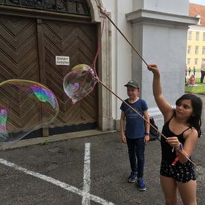 Minitag 2019