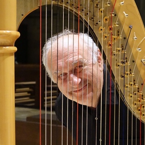 Domorganist Wolfgang Kreuzhuber „hinter Gittern“