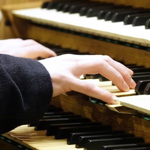 Dommusikassistent Gerhard Raab an der Rudigierorgel