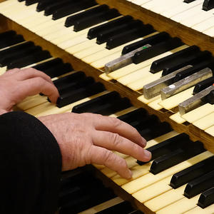 Domorganist Wolfgang Kreuzhuber an der Rudigierorgel