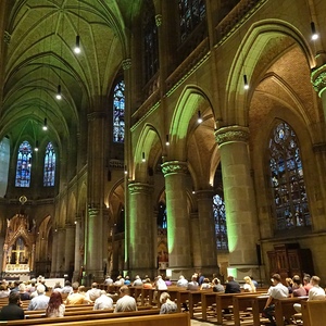 In ORGELOQUENTes Grün getauchter Mariendom Linz