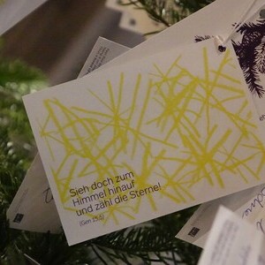 Advent am Dom-Botschaft: Mein Herzenswunsch