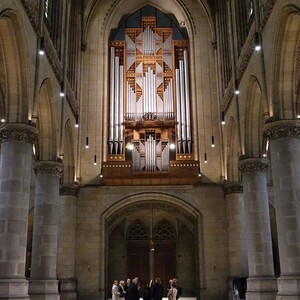 Weiterbildung für Domführer:innen an der Rudigierorgel mit Domorganist Wolfgang Kreuzhuber / © Dommusikverein Linz/Stefanie Petelin Weiterbildung für Domführer:innen an der Rudigierorgel mit Domorganist Wolfgang Kreuzhuber