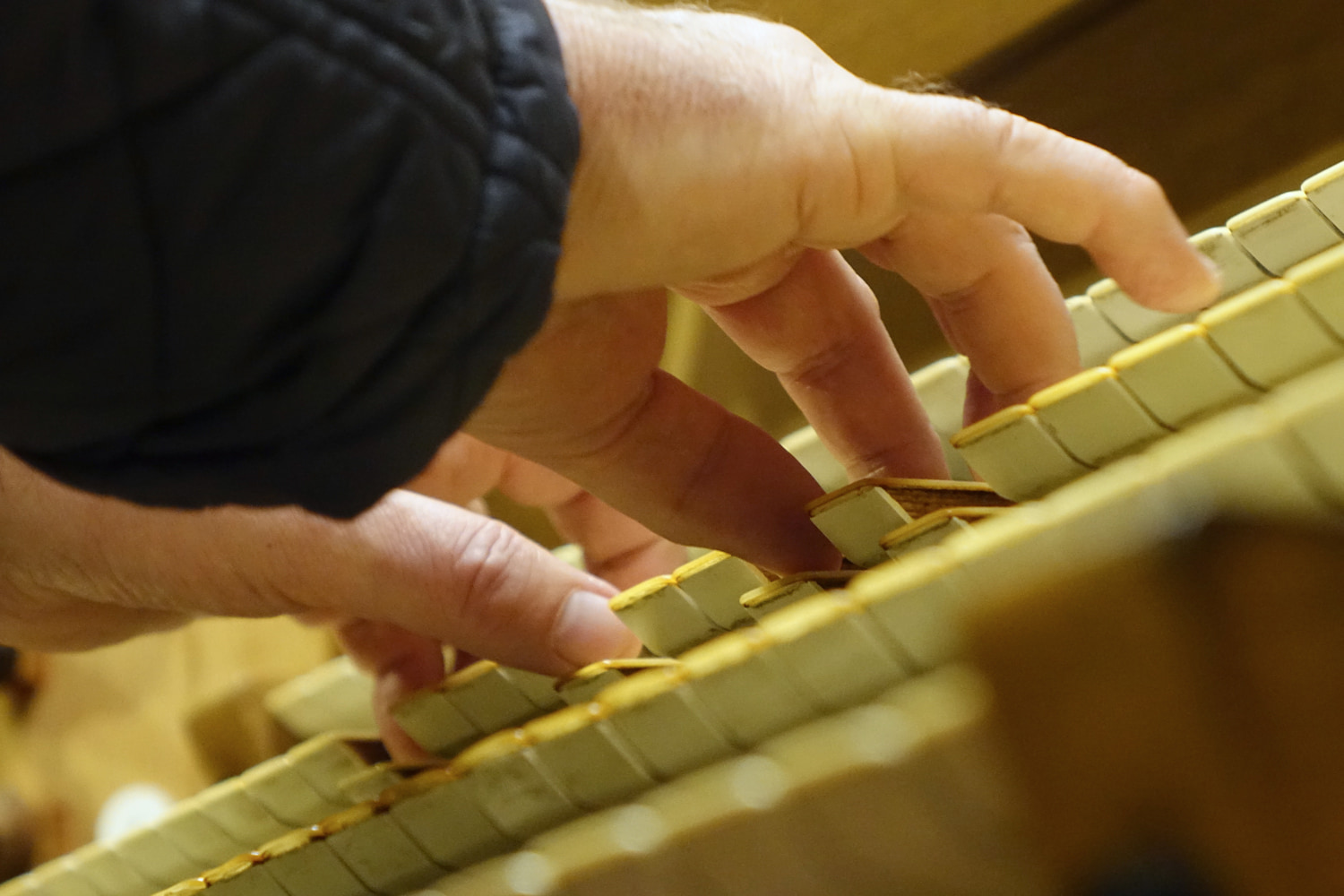 Domorganist Wolfgang Kreuzhuber an der Rudigierorgel