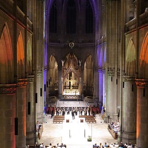 Blick in den Mariendom Linz