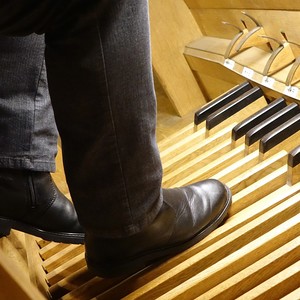 Domorganist Wolfgang Kreuzhuber an der Rudigierorgel