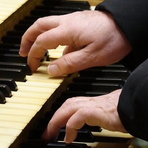 Domorganist Wolfgang Kreuzhuber an der Rudigierorgel