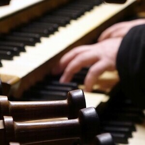 Domorganist Wolfgang Kreuzhuber an der Rudigierorgel