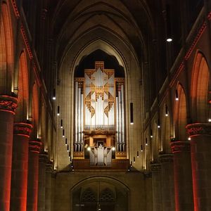 Blick auf die Rudigierorgel