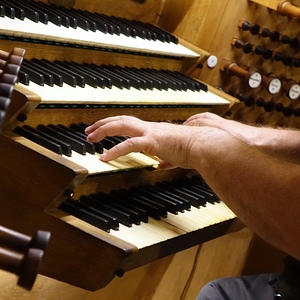 Domorganist Wolfgang Kreuzhuber an der Rudigierorgel