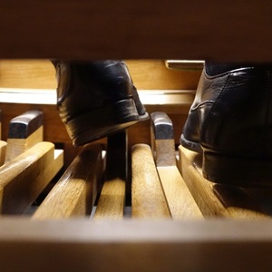 Domorganist Wolfgang Kreuzhuber an der Rudigierorgel