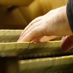 Domorganist Wolfgang Kreuzhuber an der Rudigierorgel