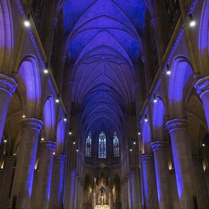 Mariendom Linz in blaues Licht gehüllt