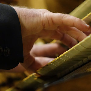 Domorganist Wolfgang Kreuzhuber an der Rudigierorgel