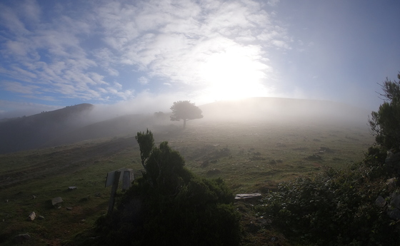 Licht am Weg