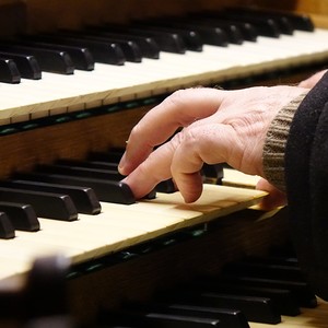 Domorganist Wolfgang Kreuzhuber an der Rudigierorgel