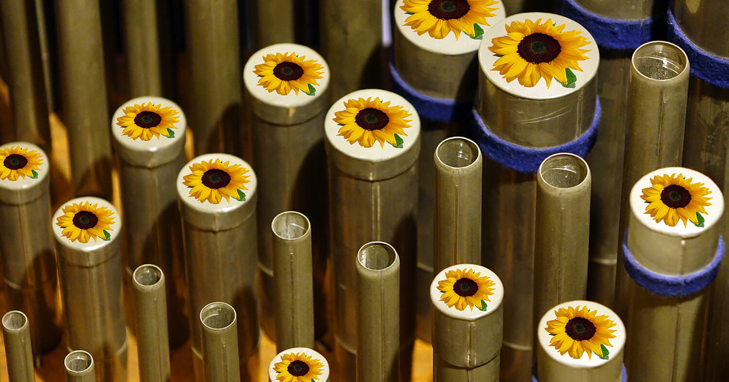 Orgelpfeifen mit Sonnenblumen