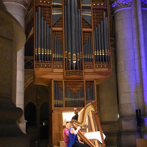 Duo Virtuose Harfenisten und Domorganist Wolfgang Kreuzhuber an der Chororgel