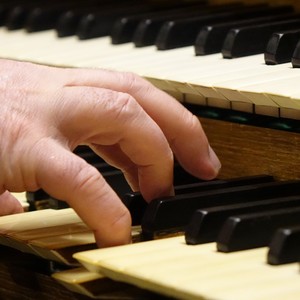 Domorganist Wolfgang Kreuzhuber an der Rudigierorgel