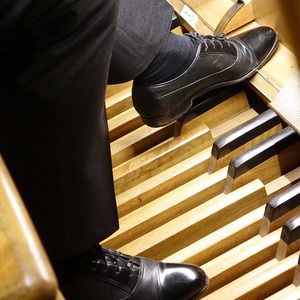 Domorganist Wolfgang Kreuzhuber an der Rudigierorgel