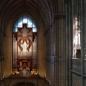 Blechbläserquartett der Dommusik Linz auf der Orgelempore der Rudigierorgel