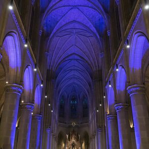 Mariendom Linz in blaues Licht gehüllt