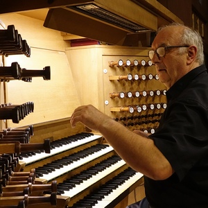 Domorganist Wolfgang Kreuzhuber an der Rudigierorgel