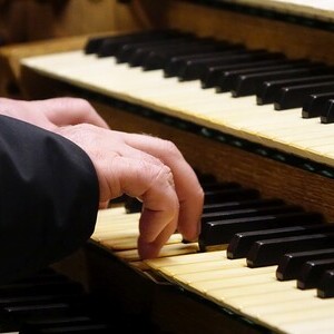 Domorganist Wolfgang Kreuzhuber