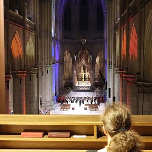 Blick in den Mariendom Linz