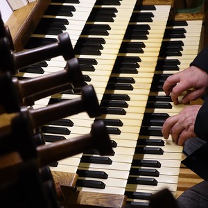 Domorganist Wolfgang Kreuzhuber an der Rudigierorgel