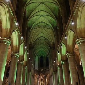 In ORGELOQUENTes Grün getauchter Mariendom Linz