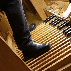 Domorganist Wolfgang Kreuzhuber an der Rudigierorgel