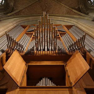 Rudigierorgel | Prospekt mit spanischen Trompeten