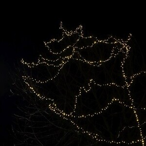 Linzer Mariendom im Lichterkleid