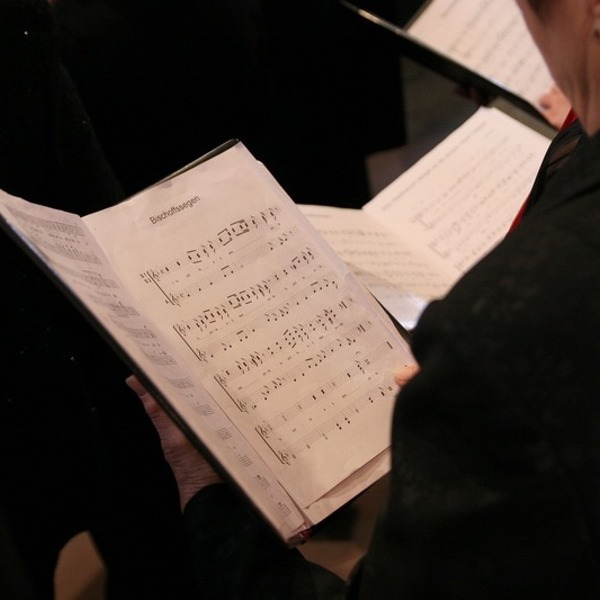 Chorgemeinschaften / Singgruppen / © delphinmedia/pixabay.com/Pixabay License Chorgemeinschaften / Singgruppen